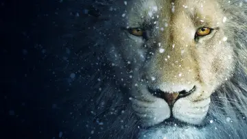 Zasłona do filmu "Opowieści z Narnii: Podróż Wędrowca do Świtu" #284705
