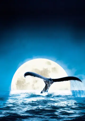 Deep Blue