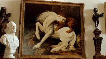 Zasłona do filmu "Greystoke: Legenda Tarzana, władcy małp" #458516