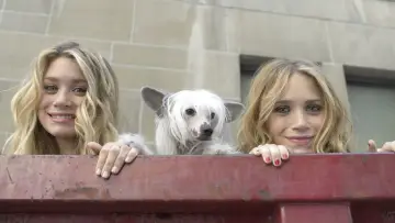 Zasłona do filmu "Mary-Kate i Ashley: Nowy Jork, nowa miłość" #297591