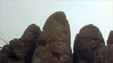 Zasłona do filmu "Piknik pod Wiszącą Skałą" #231044