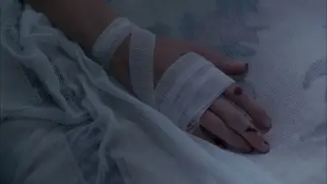 Zasłona do filmu "Piknik pod Wiszącą Skałą" #532768