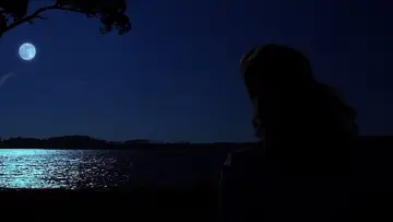 Zasłona do filmu "Pamiętnik" #752608
