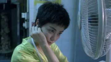 Zasłona do filmu "Chungking Express" #655442