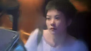 Zasłona do filmu "Chungking Express" #655443