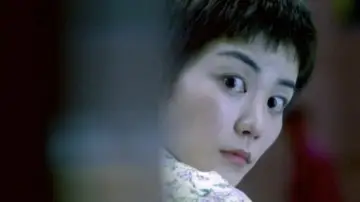Zasłona do filmu "Chungking Express" #655446