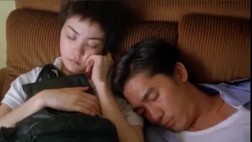 Zasłona do filmu "Chungking Express" #655448