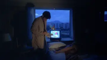 Zasłona do filmu "Chungking Express" #655494