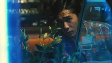 Zasłona do filmu "Chungking Express" #655517