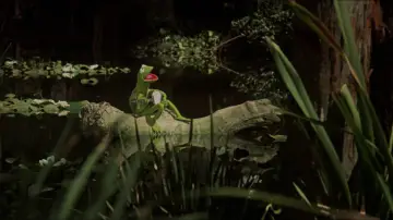 Zasłona do filmu "Wielka wyprawa muppetów" #673408