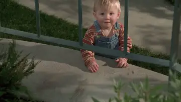 Zasłona do filmu "Brzdąc w Opałach" #1199438