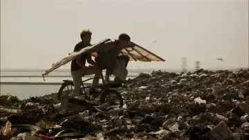 Zasłona do filmu "Ptasiek" #237634