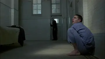 Zasłona do filmu "Ptasiek" #237636