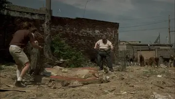 Zasłona do filmu "Ptasiek" #237637
