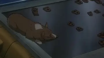 Zasłona do filmu "Kowboj Bebop: Pukając do nieba bram" #809715