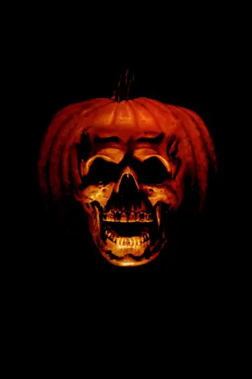 Plakat do filmu "Halloween II" #280513