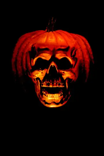 Plakat do filmu "Halloween II" #280516