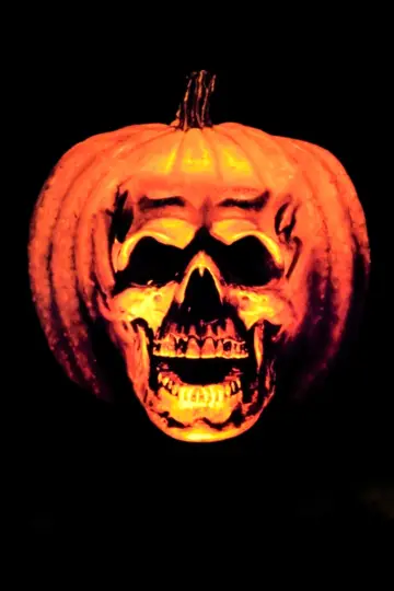 Plakat do filmu "Halloween II" #280519
