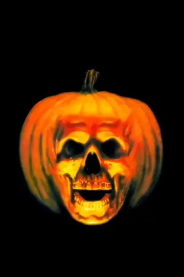 Plakat do filmu "Halloween II" #280524