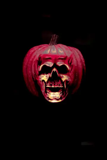 Plakat do filmu "Halloween II" #280526