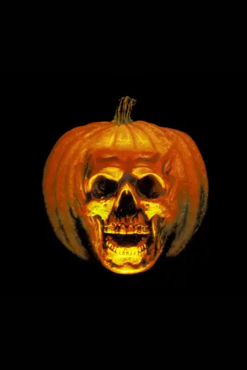 Plakat do filmu "Halloween II" #709047