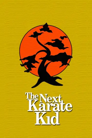 Plakat do filmu "Karate Kid 4. Mistrz i uczennica" #63676