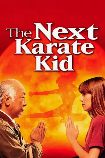Plakat do filmu "Karate Kid 4. Mistrz i uczennica" #872741