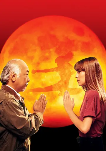 Plakat do filmu "Karate Kid 4. Mistrz i uczennica" #872745