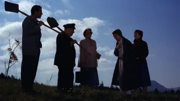 Zasłona do filmu "Kłopoty z Harrym" #246399