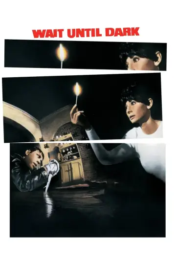 Plakat do filmu "Doczekać zmroku" #133005