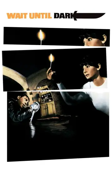 Plakat do filmu "Doczekać zmroku" #133011