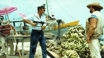 Zasłona do filmu "Bananowy Joe" #271884