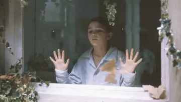 Zasłona do filmu "Delikatna" #282752
