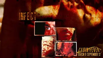 Zasłona do filmu "Śmiertelna gorączka" #142131