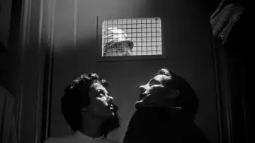 Zasłona do filmu "Inwazja porywaczy ciał" #715474