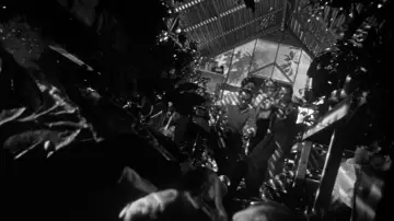 Zasłona do filmu "Inwazja porywaczy ciał" #715476