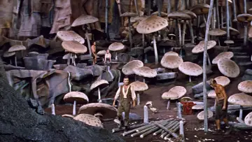 Zasłona do filmu "Podróż do wnętrza Ziemi" #248355
