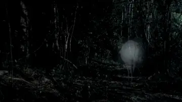 Zasłona do filmu "Choroba tropikalna" #1091490