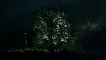 Zasłona do filmu "Choroba tropikalna" #1091492