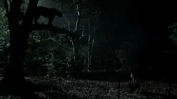 Zasłona do filmu "Choroba tropikalna" #1091494