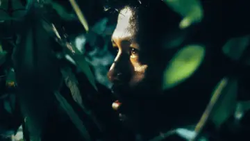 Zasłona do filmu "Choroba tropikalna" #1091514