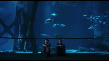 Zasłona do filmu "Zły Porucznik" #491301