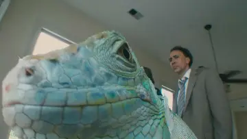Zasłona do filmu "Zły Porucznik" #869699