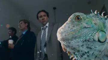 Zasłona do filmu "Zły Porucznik" #869700