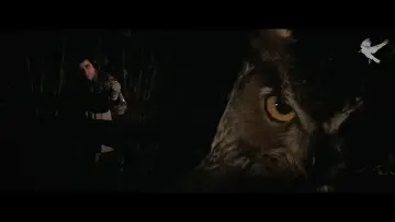 Zasłona do filmu "Wybuch" #505025