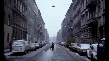 Zasłona do filmu "Stroszek" #461347