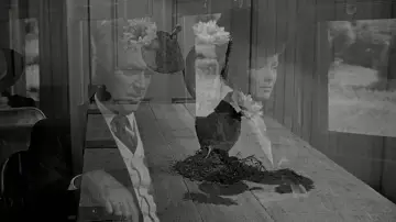 Zasłona do filmu "Człowiek, który zabił Liberty Valance