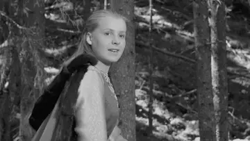 Zasłona do filmu "Źródło" #185549