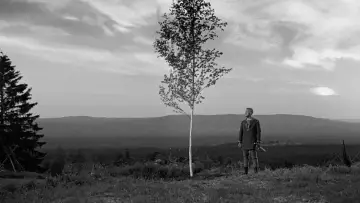 Zasłona do filmu "Źródło" #185550