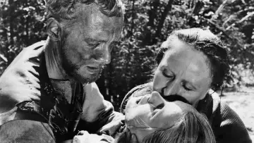 Zasłona do filmu "Źródło" #185551